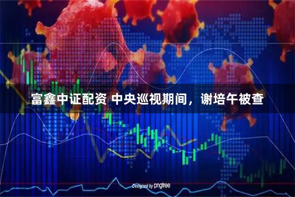 富鑫中证配资 中央巡视期间，谢培午被查