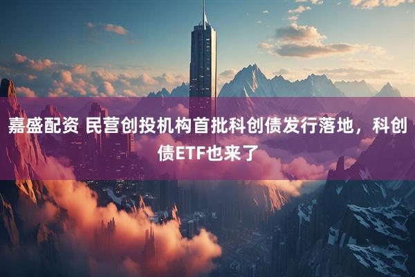 嘉盛配资 民营创投机构首批科创债发行落地，科创债ETF也来了