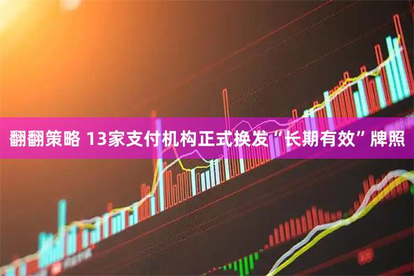 翻翻策略 13家支付机构正式换发“长期有效”牌照